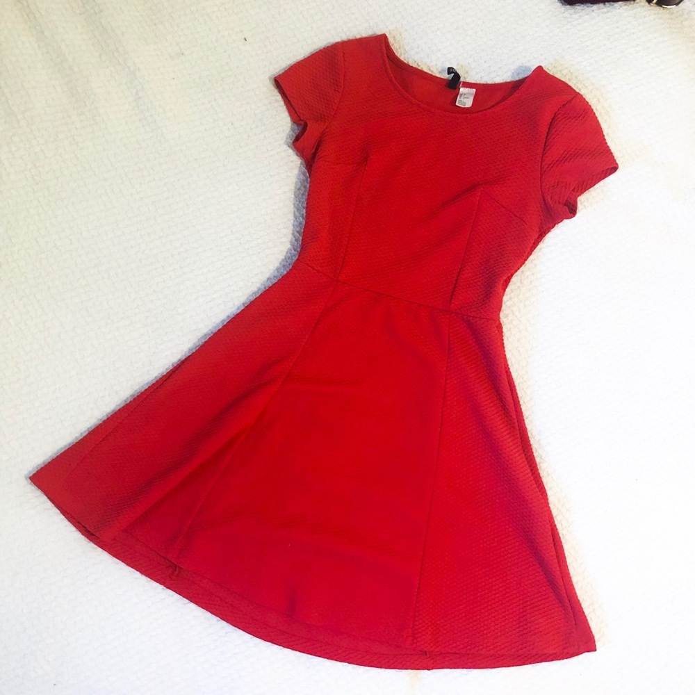 H&M skater dress